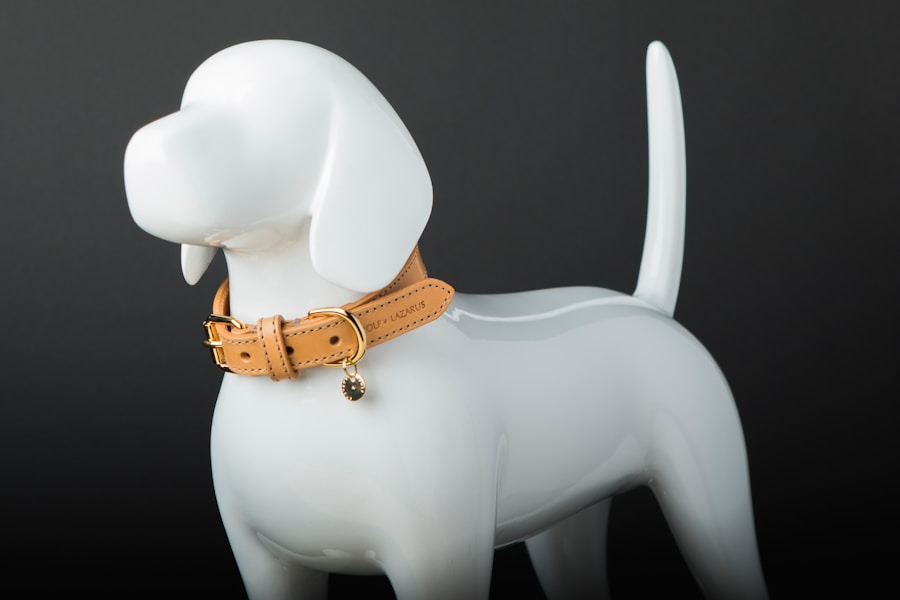 Como proteger seu melhor amigo: prevenção de pulgas e carrapatos em cães