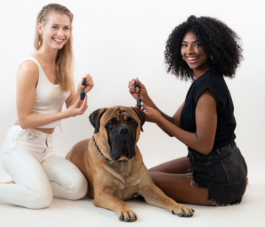Cortador de unha de cachorro: guia completo para encontrar o modelo perfeito