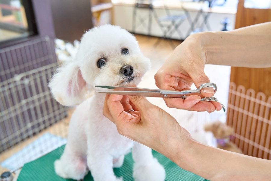 Tosa bebê: Conheça os Benefícios para Diferentes Raças de Cachorros