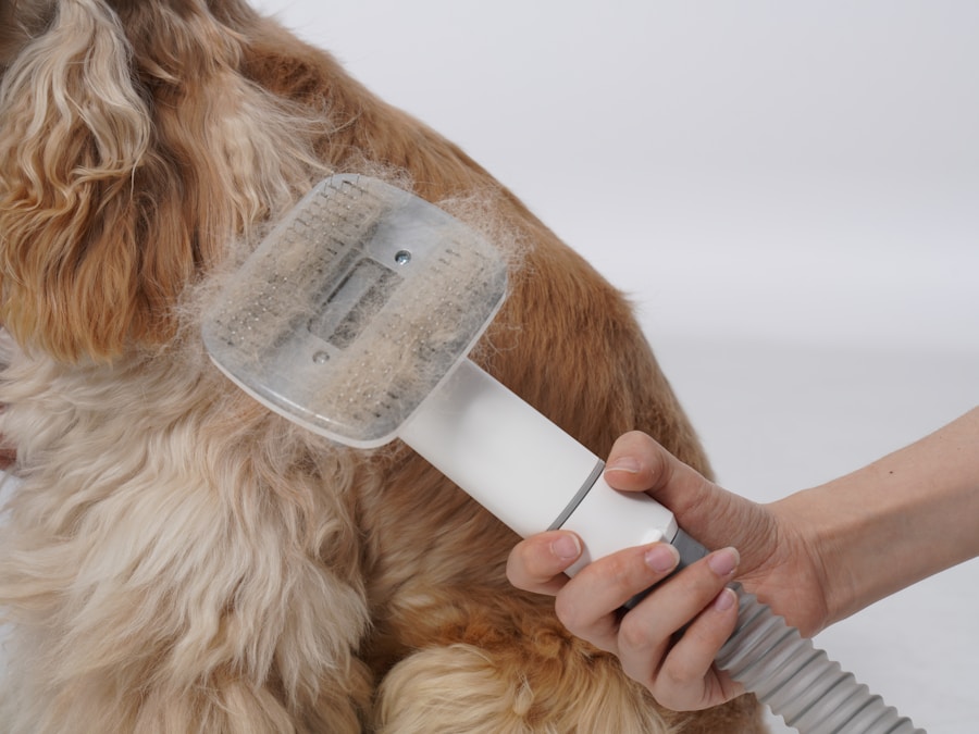 Guia completo para prevenir o pelo embolado em Lhasa Apso: dicas de cuidados e manutenção