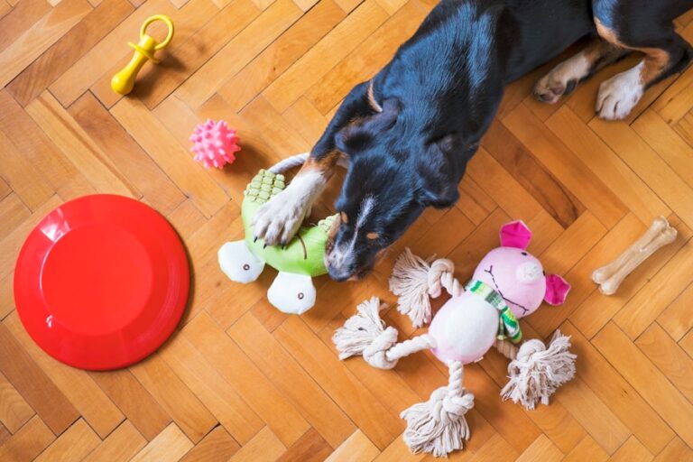 A verdade sobre o petisco dental para cachorro: funciona ou é apenas um mito?