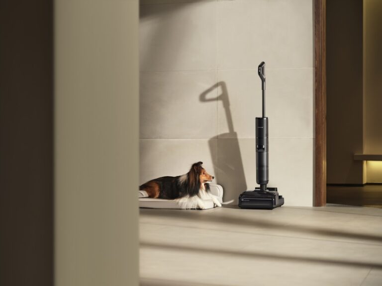 Cachorro em casa: como manter a ordem e a limpeza sem estresse