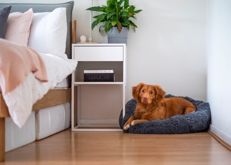 Entendendo o comportamento do cachorro ao marcar território e como lidar com isso em casa