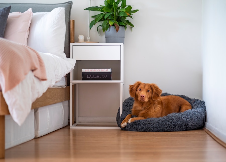 Entendendo o comportamento do cachorro ao marcar território e como lidar com isso em casa
