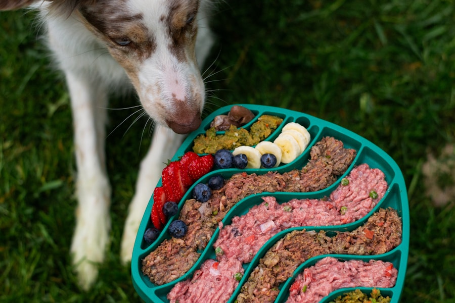 Como evitar que seu cachorro coma muito rápido: dicas e truques 1 Como evitar que seu cachorro coma muito rápido: dicas e truques