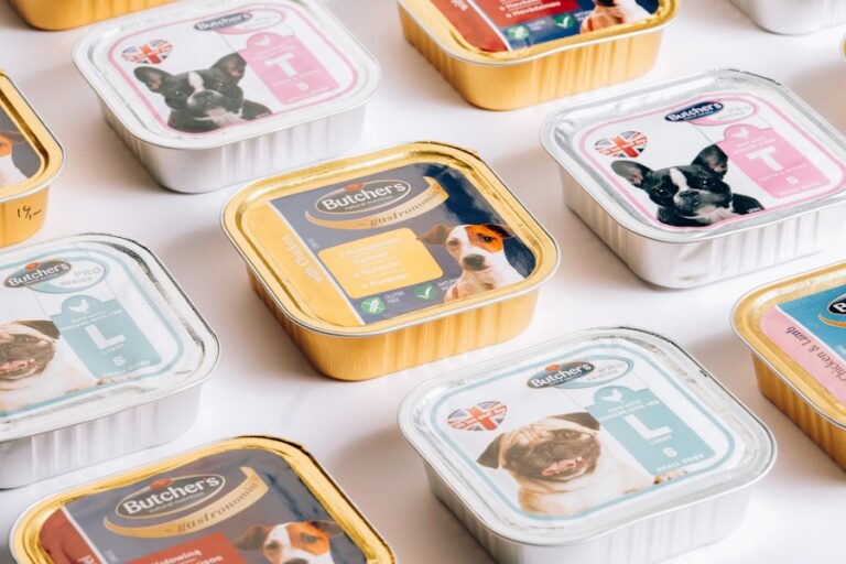 Descubra como escolher o pote de comida perfeito para o seu melhor amigo de quatro patas
