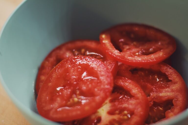 Tomate sem semente na dieta do cachorro: saiba como incluir esse alimento de forma saudável e equilibrada!