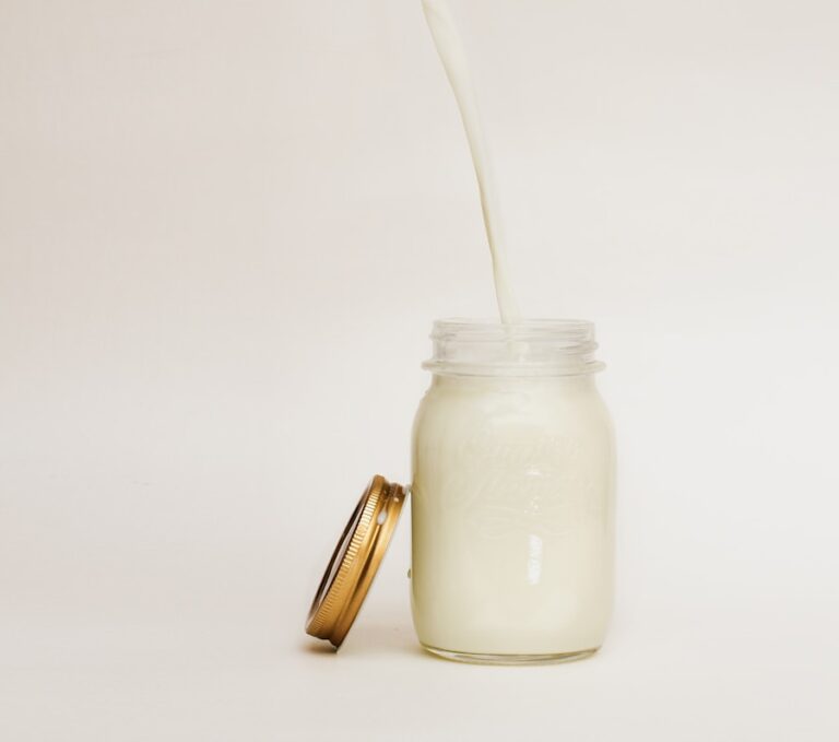 Leite sem lactose para gatos: benefícios e precauções para a saúde do seu pet!