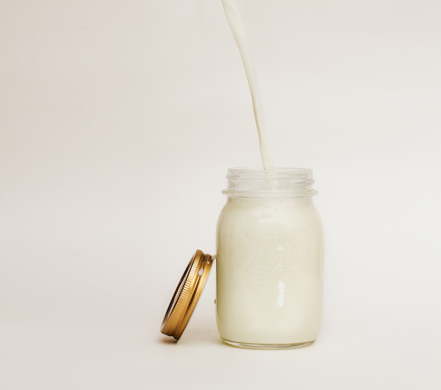 Leite sem lactose para gatos: benefícios e precauções para a saúde do seu pet!
