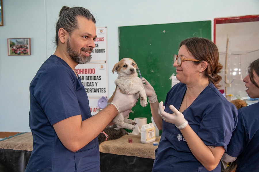 Diarreia canina: Conheça os principais cuidados para garantir a saúde do seu melhor amigo 1 Diarreia canina: Conheça os principais cuidados para garantir a saúde do seu melhor amigo