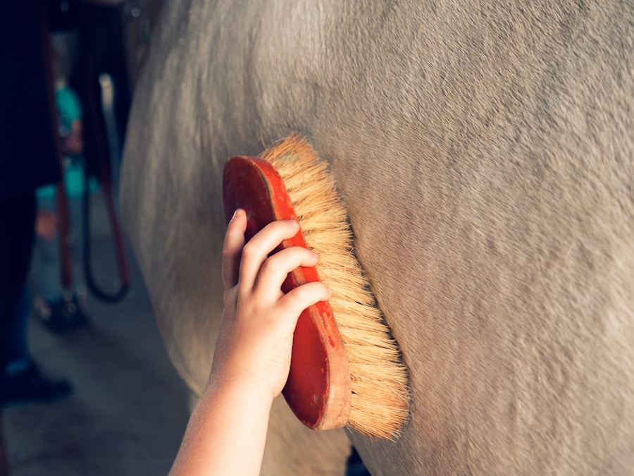 Descubra os melhores produtos e técnicas para cuidar da pelagem dos cães de pelo curto