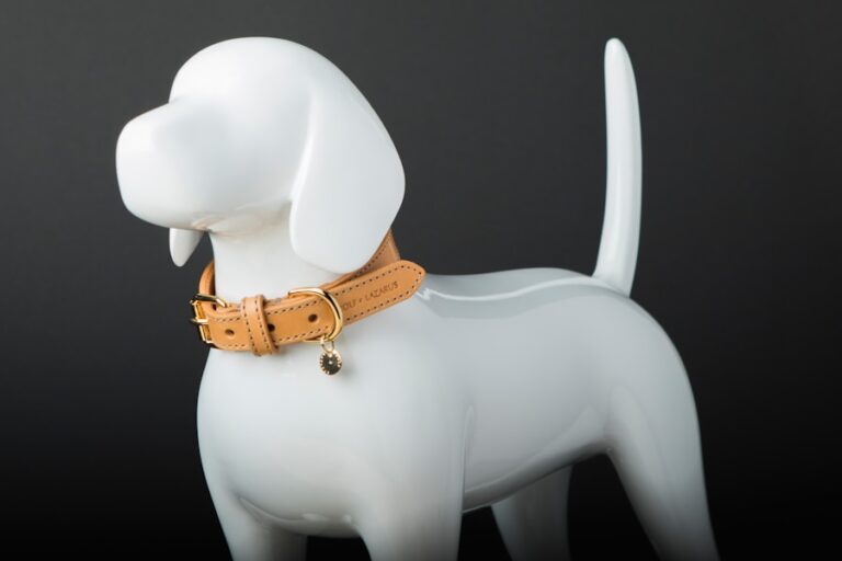 Antipulgas para cachorro: como escolher com segurança e proteger seu melhor amigo
